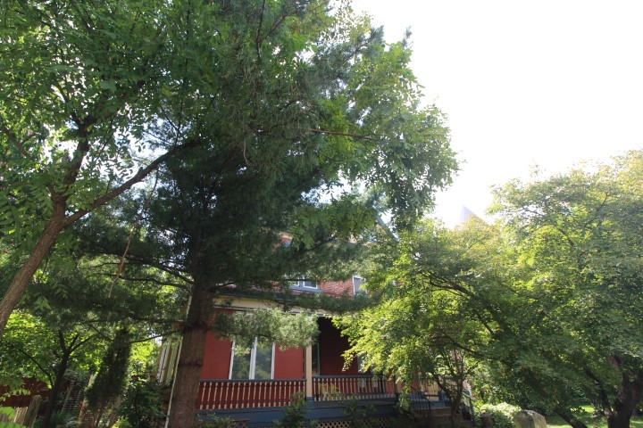 Exterior of 5546 Hays St, Pittsburgh, PA 15206